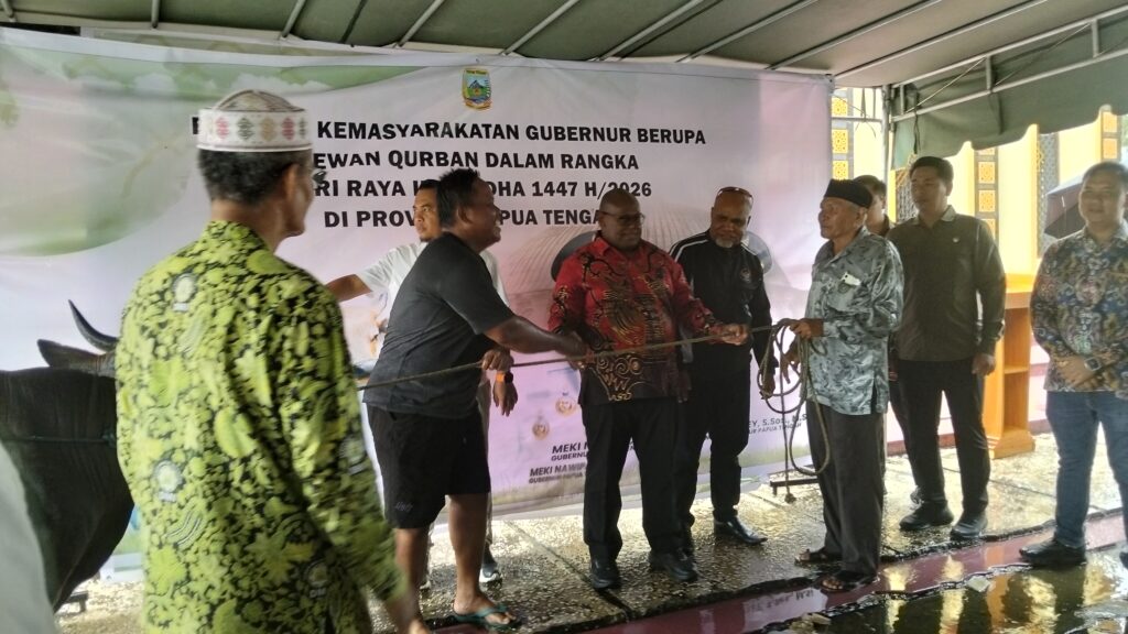 Gubernur Meki Nawipa Serahkan 26 Ekor Sapi Kurban untuk Nabire dan Mimika 