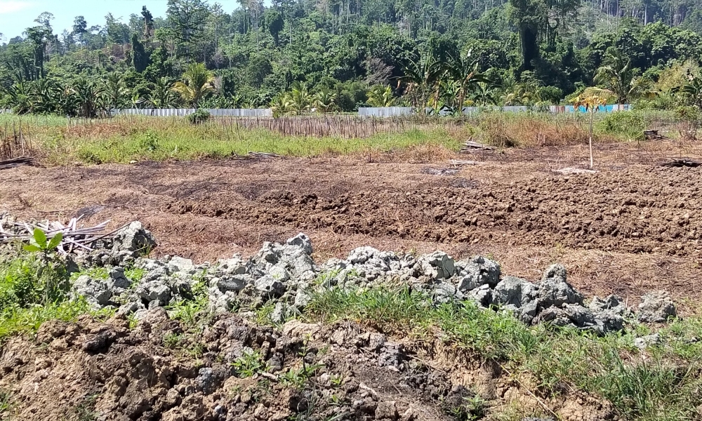 Kekeringan Melanda Nabire, Warga Kesulitan Air Bersih, Armada Pemkab Terbatas